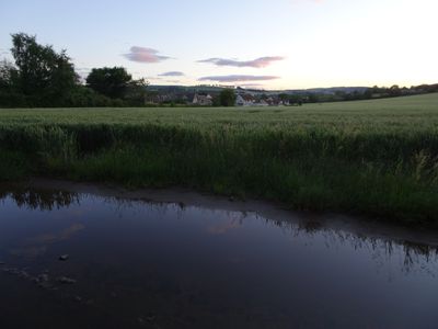 DSC02206.JPG