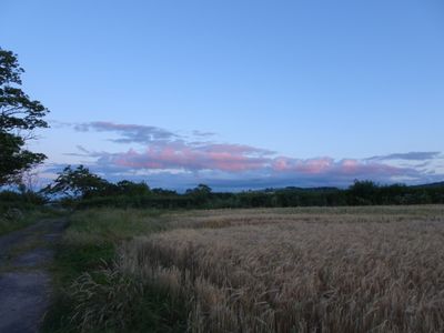 DSC02209.JPG