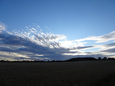 DSC02220.JPG