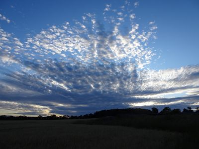 DSC02222.JPG