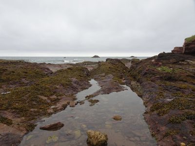 DSC02547.JPG