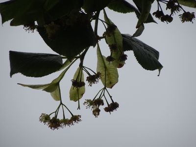 g13/70/495670/3/174888997.d52eb88c.JPEG