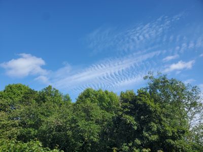 20240712_164506.jpg