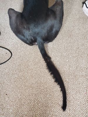 20230220_155147.jpg
