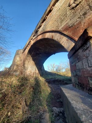 20230223_093232.jpg