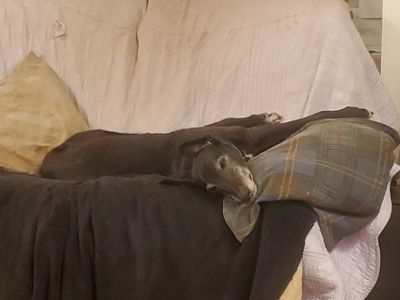 20230418_210656.jpg
