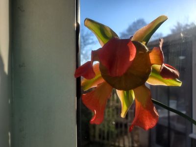20230419_181545.jpg