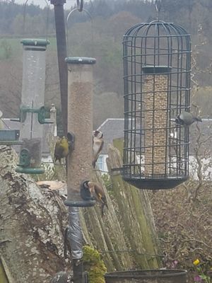 20230423_162024.jpg