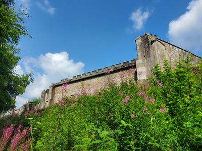 20230721_135958.jpg