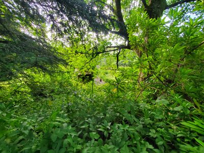 20230721_164021.jpg