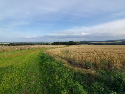 20230726_190314.jpg