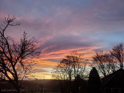 20231215_154726.jpg