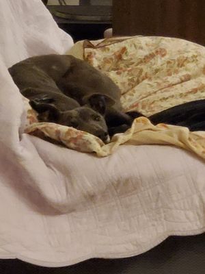 20231219_174032.jpg