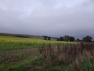 20240924_190359.jpg