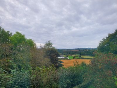 20240929_080545.jpg