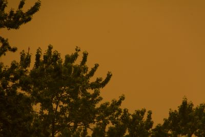 g13/70/553570/3/173720802.b46b6ae7.JPEG
