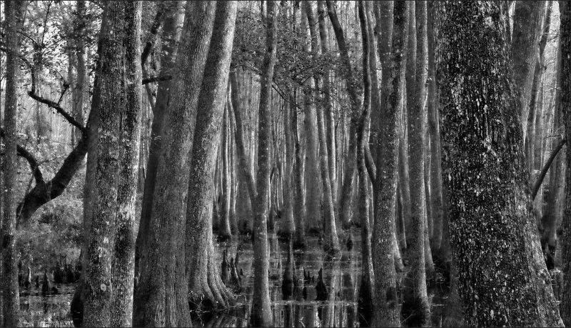  1066434_B&W 