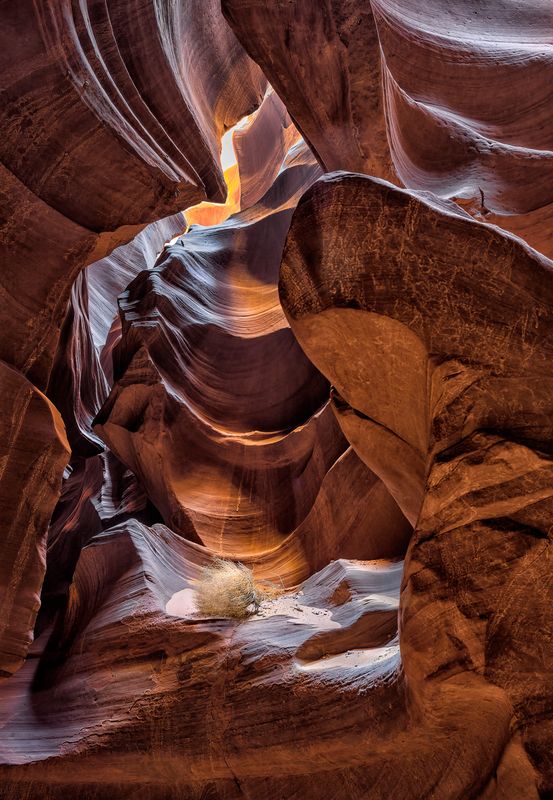 Antelope Canyon (lower)  43x30 