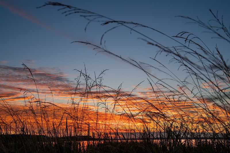 Sunset of 11-19-2023