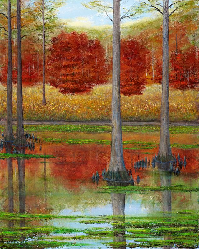 For the Love of Swamp Maple 