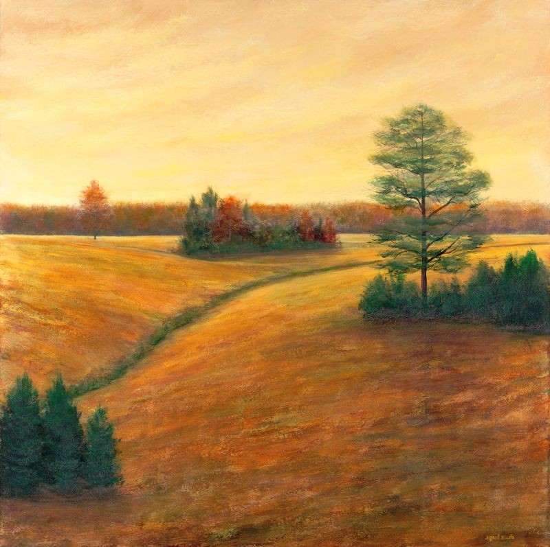 Kemper County Pastures     36x36