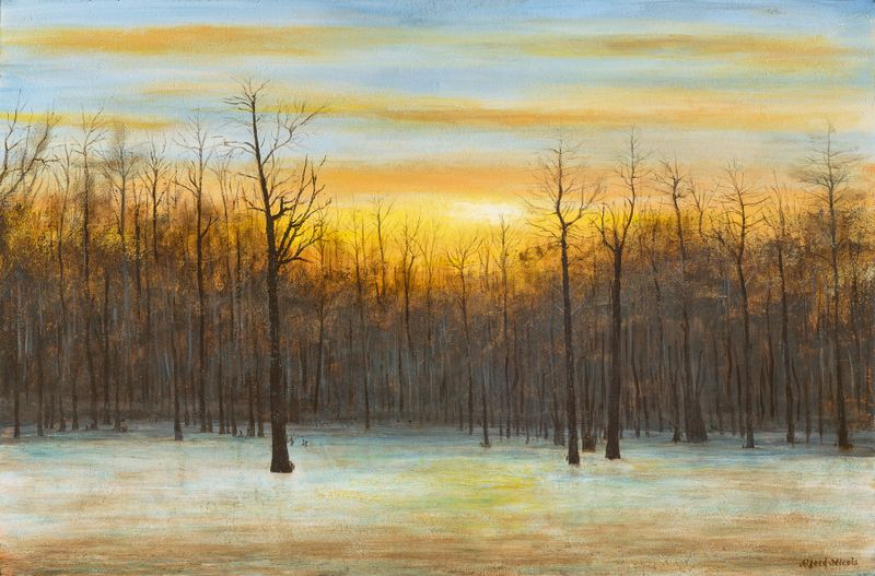 Misty Sunrise on Hainted Brake   12 x 18 