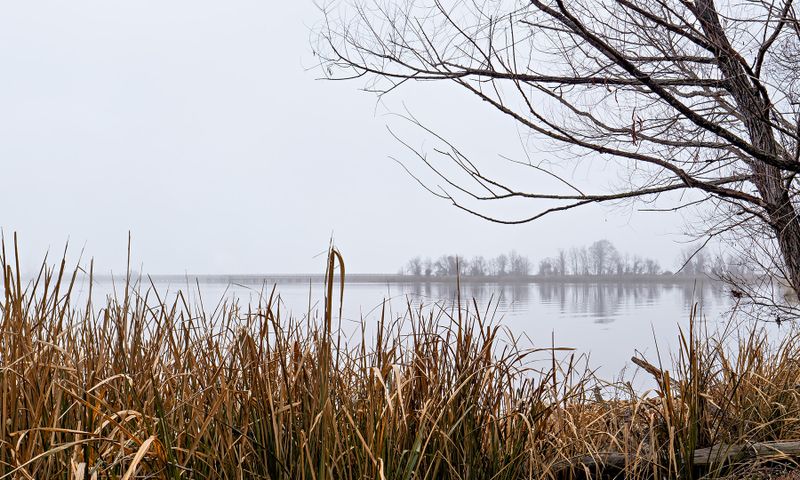  Foggy Morning