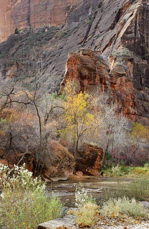  Zion Nat. Park