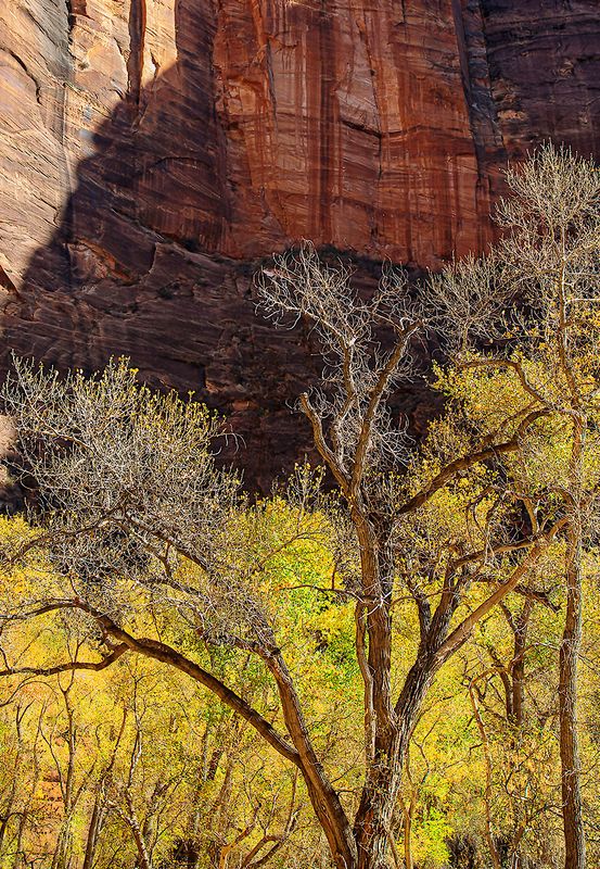 Zion Nat. Park