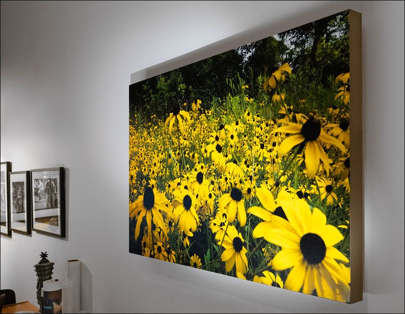  36H x 58W Canvas Print