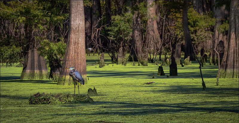 St. Catherine Creek National Wildlife Refuge