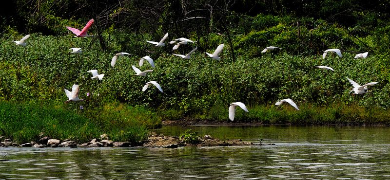 St. Catherine Creek National Wildlife Refuge
