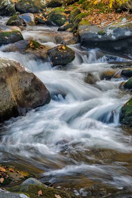 Tennessee Stream