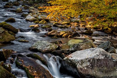 Smokey Mtn. Stream