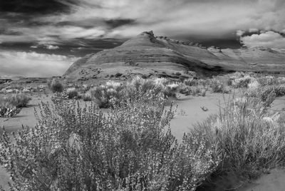 _DSF4257 b&w