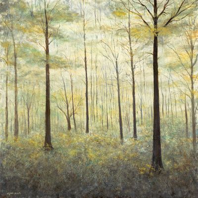 Misty Daybreak in My North Woods 36x36