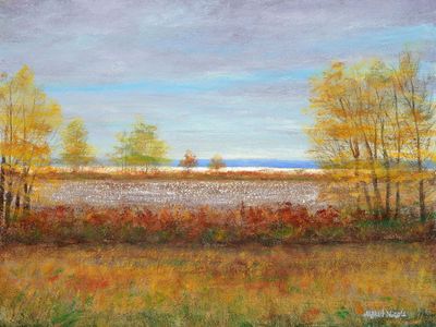 Clouds over Delta Cotton 18x24