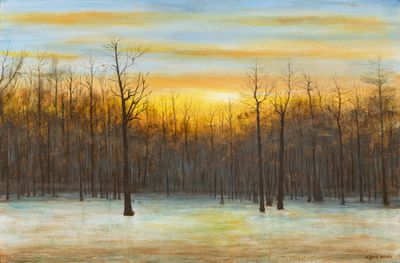 Misty Sunrise on Hainted Brake 12 x 18