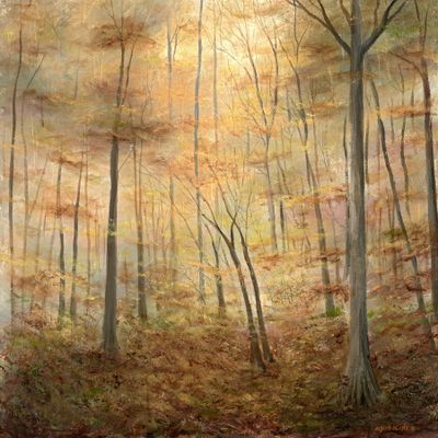 Morning Comes to the Deep Woods 33 x33