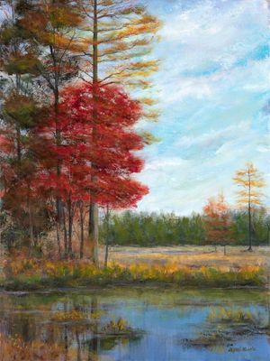 Red Maple in Our Slough