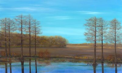 The Soul of a Delta Winter 18x30