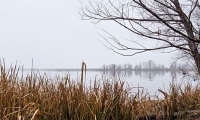  Foggy Morning