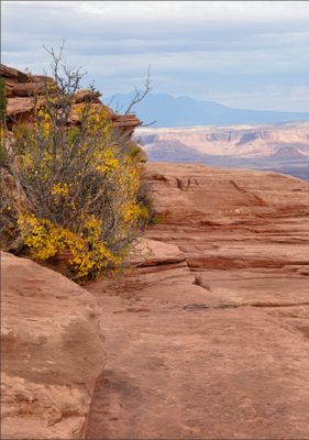 Canyonlands & Arches National Parks, Utah