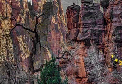 Utah Trip 11-2017