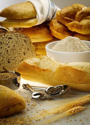  Food Photography