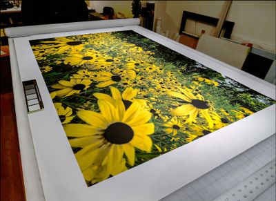 A 36H x 58W Canvas Print