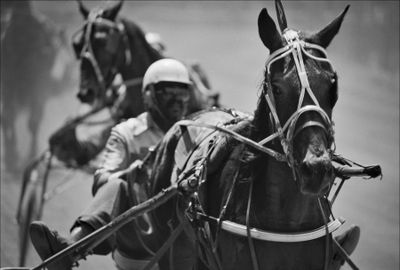 Neshoba County Fair in 1979