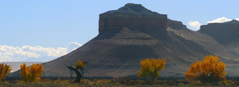 5447_48.jpg