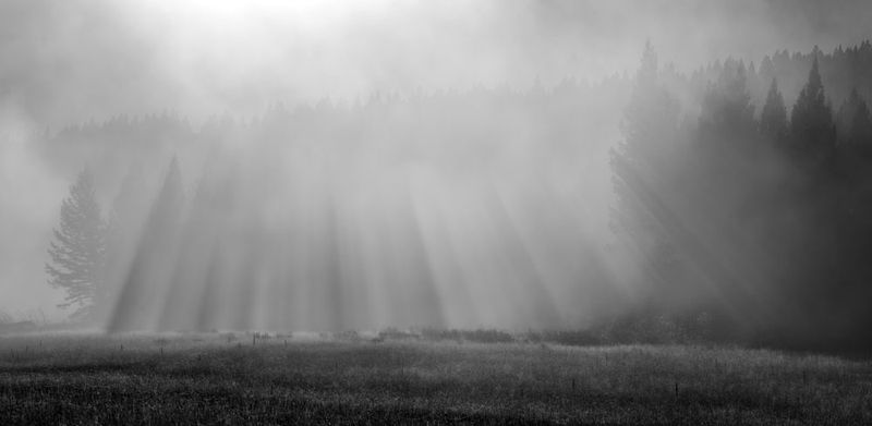 One Misty Moisty Morning