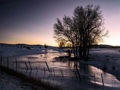 _IMG6151.jpg